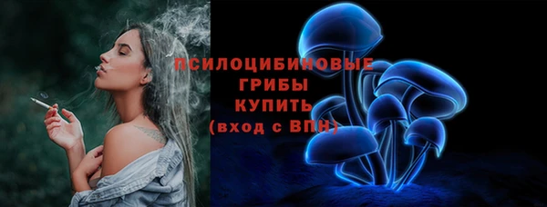 сатива Абаза